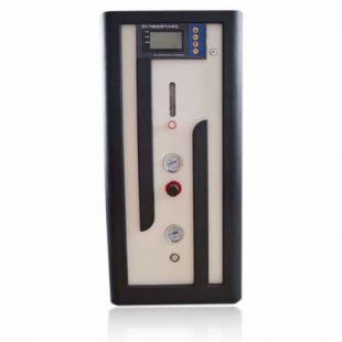 高純氮?dú)獍l(fā)生器AYAN-300MLG制氮裝置